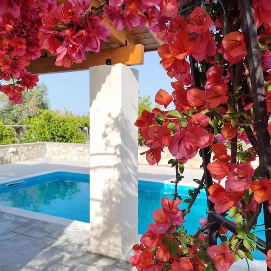 Lianas Garden House Villa Afantou Exteriör bild